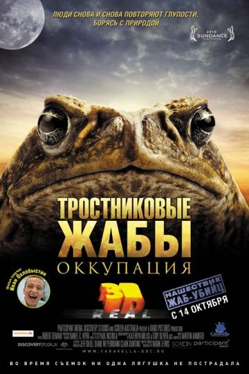 Тростниковые жабы: Оккупация